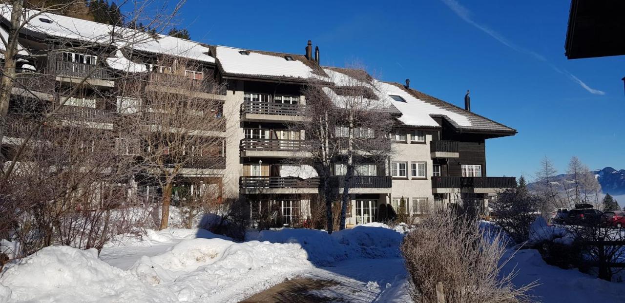 Appartement Avec Terrasse Ensoleillee Γκρυγιέρ Εξωτερικό φωτογραφία