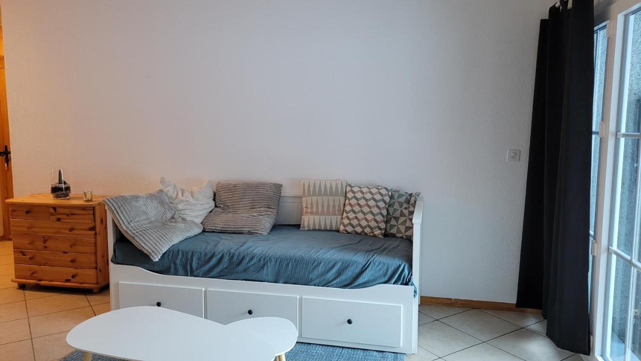Appartement Avec Terrasse Ensoleillee Γκρυγιέρ Εξωτερικό φωτογραφία